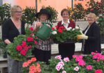 Lord Dufferin IODE has a rich history of serving the community. Pictured above, representatives from the 110-year-old organization pose for a photo at the height of its annual geranium fundraiser, which raised funds for IODE’s student bursaries.